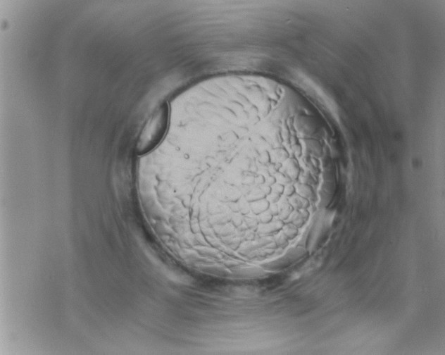 X0000071380107200607142120