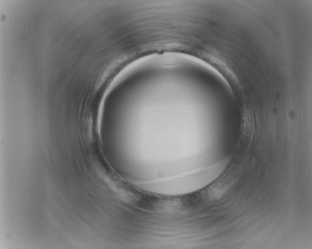 X0000071380110200607142120