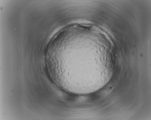 X0000071380111200607142120