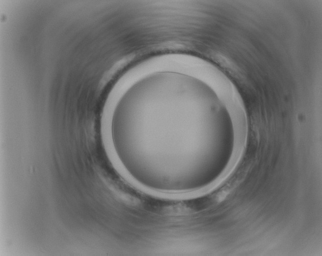 X0000071380112200607142120