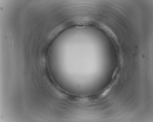 X0000071380113200607142120