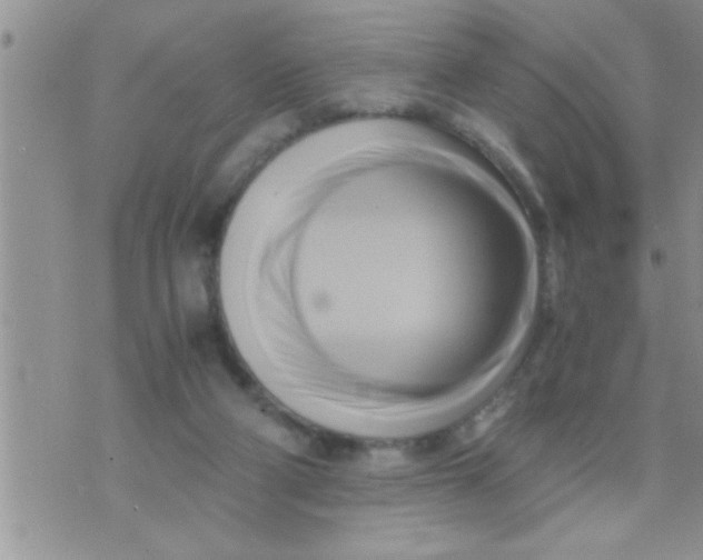 X0000071380114200607142120