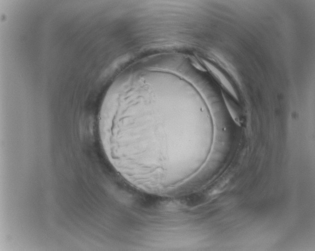 X0000071380115200607142120