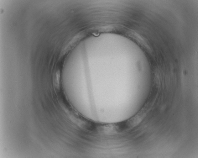 X0000071380118200607142120