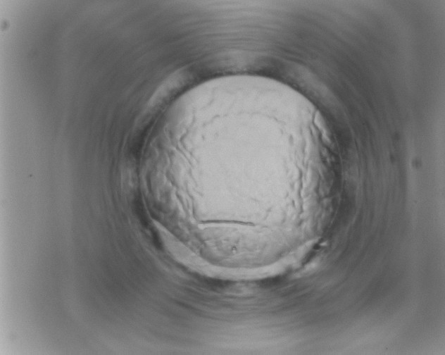 X0000071380119200607142120