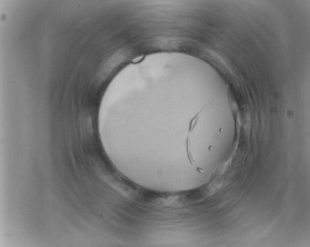 X0000071380120200607142120