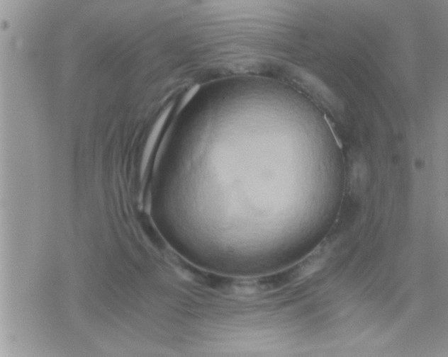 X0000071380121200607142120