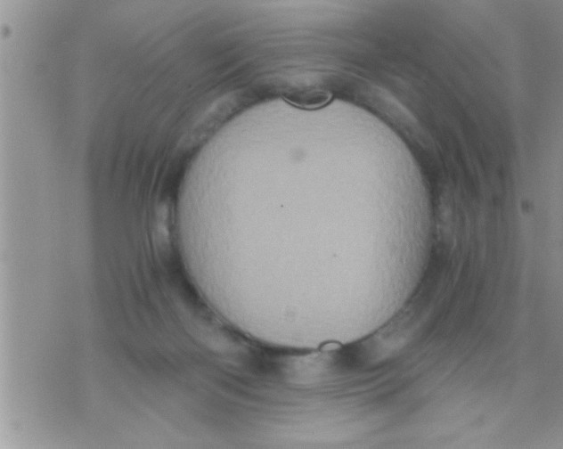 X0000071380122200607142120