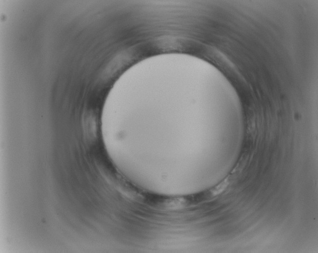 X0000071380124200607142120