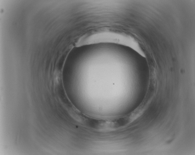 X0000071380125200607142120