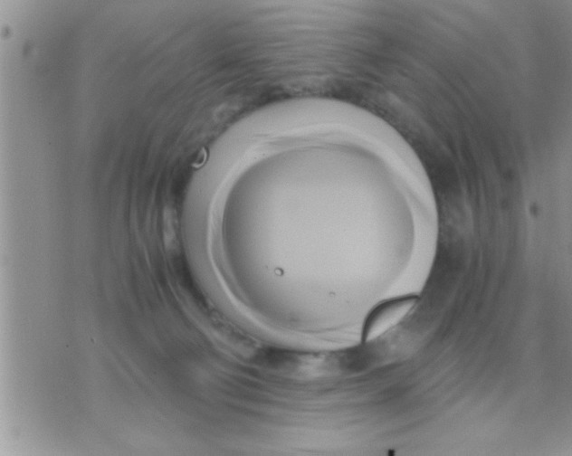 X0000071380130200607142120