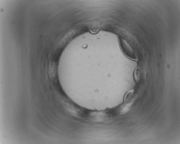 X0000071380133200607142120