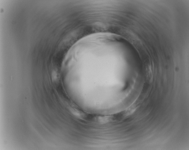 X0000071380134200607142120