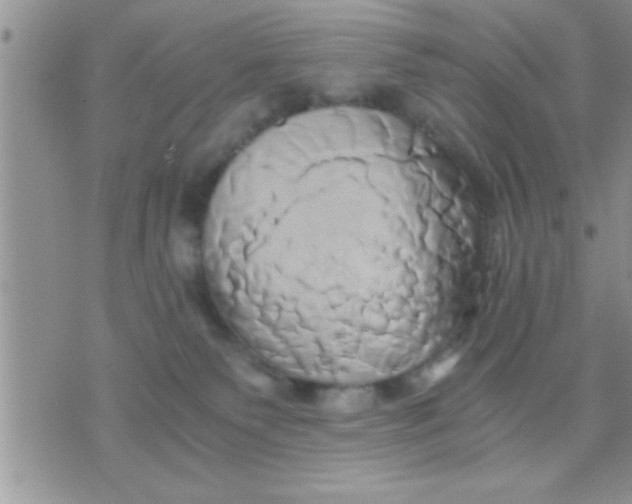 X0000071380135200607142120