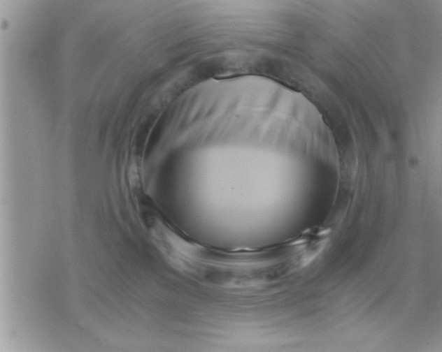 X0000071380137200607142120