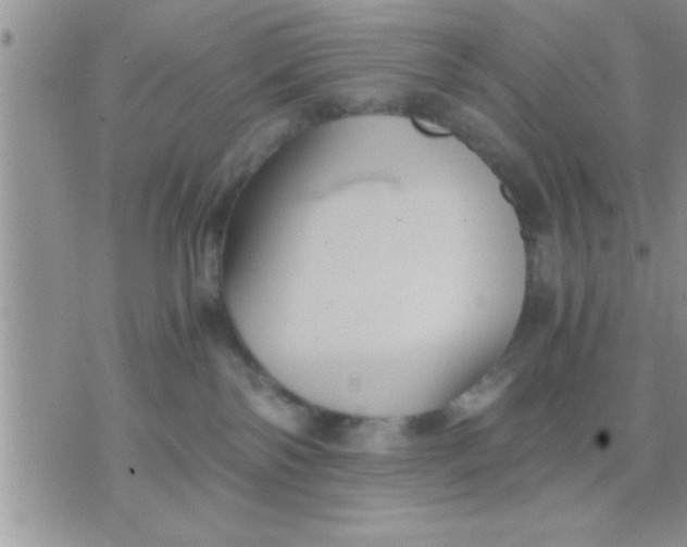 X0000071380138200607142120