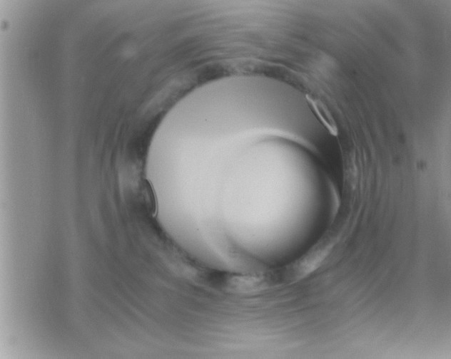 X0000071380139200607142120