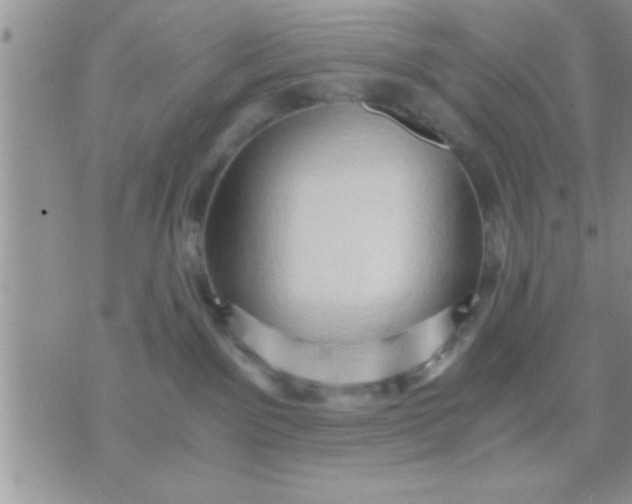 X0000071380141200607142120