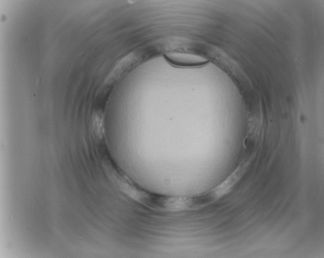 X0000071380142200607142120