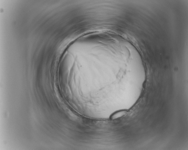 X0000071380145200607142119