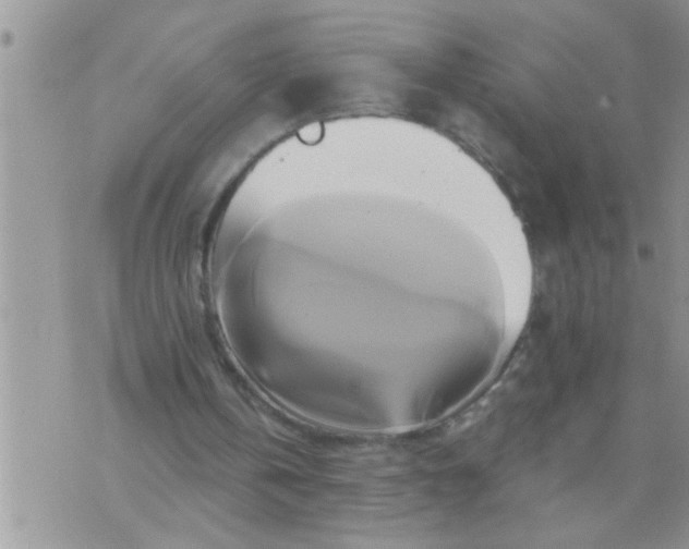 X0000071380146200607142119