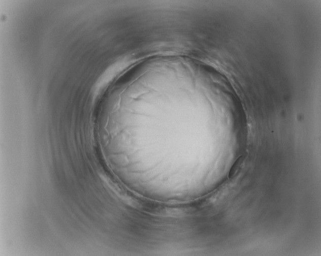 X0000071380149200607142119