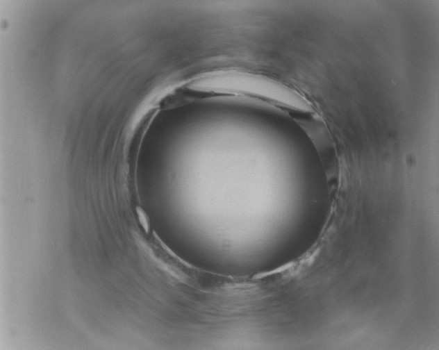 X0000071380150200607142119