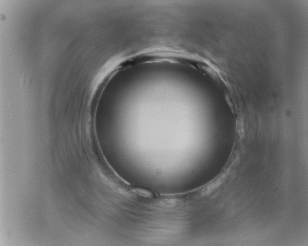 X0000071380152200607142119