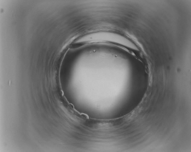 X0000071380154200607142119