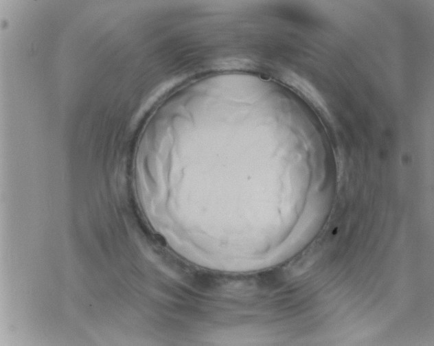 X0000071380155200607142119