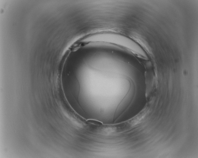 X0000071380156200607142119