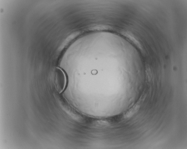 X0000071380159200607142119