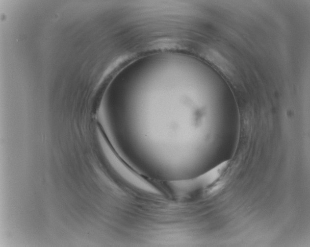 X0000071380160200607142119