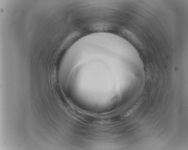 X0000071380163200607142119