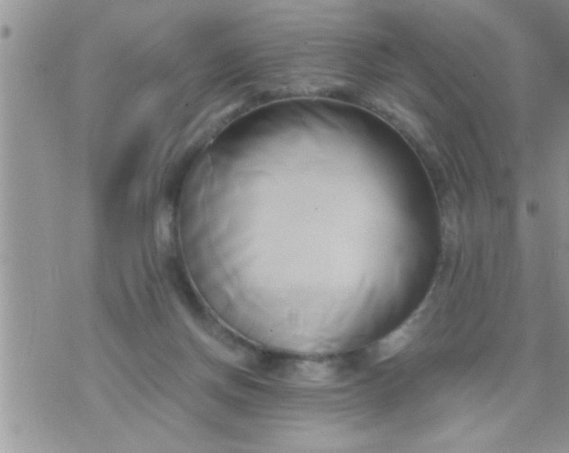 X0000071380166200607142119