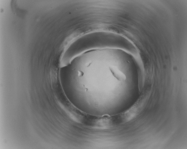 X0000071380168200607142119