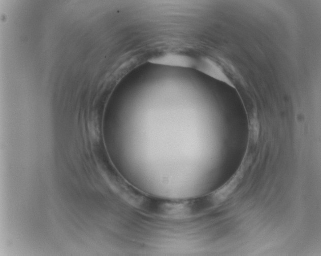 X0000071380170200607142119