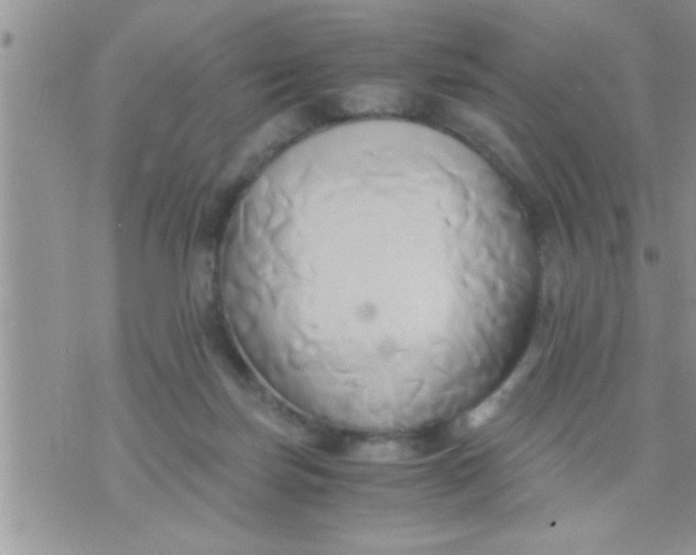 X0000071380171200607142119