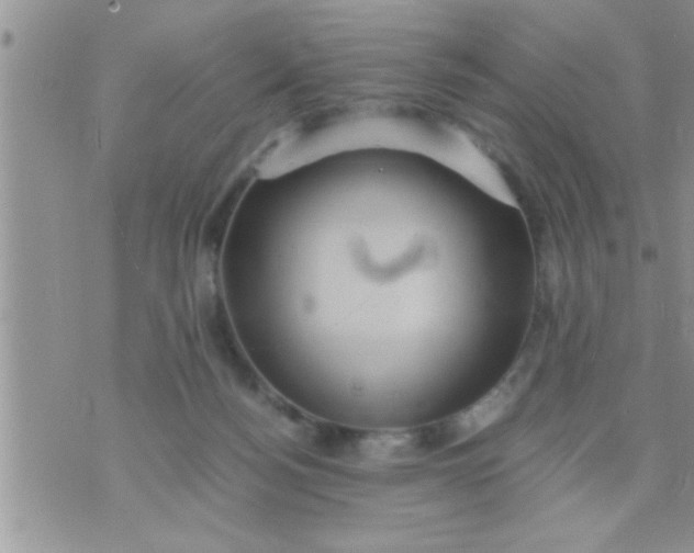 X0000071380172200607142119