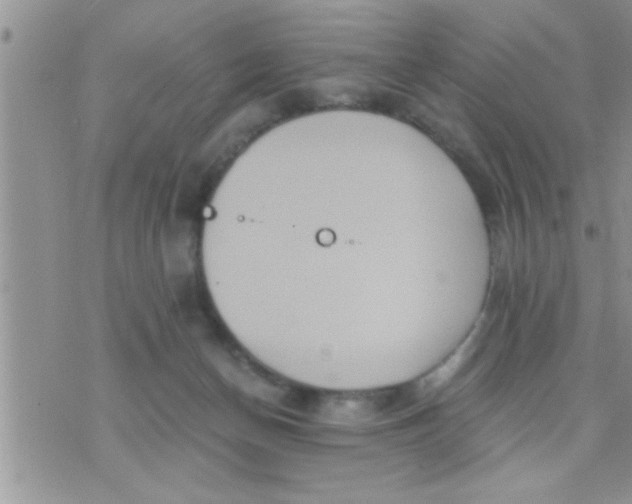 X0000071380174200607142119