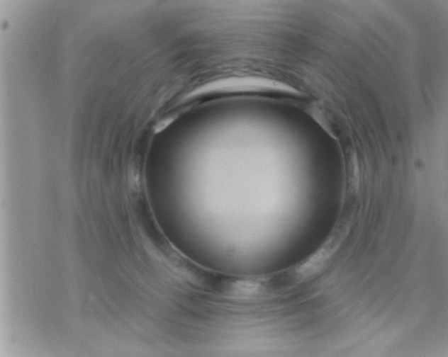 X0000071380176200607142119