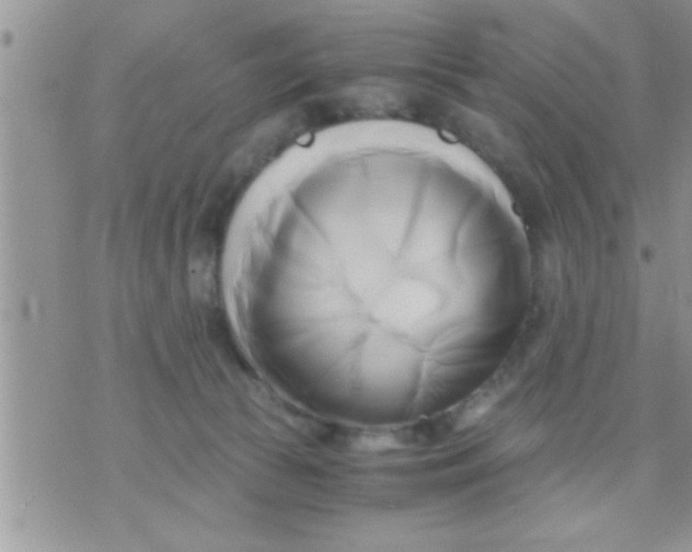 X0000071380177200607142119