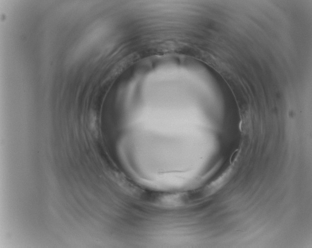 X0000071380178200607142119