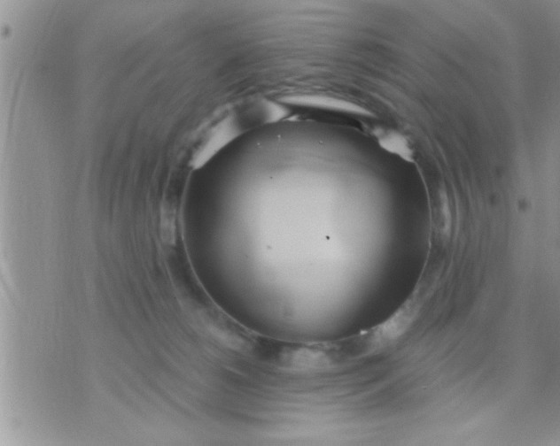 X0000071380180200607142120