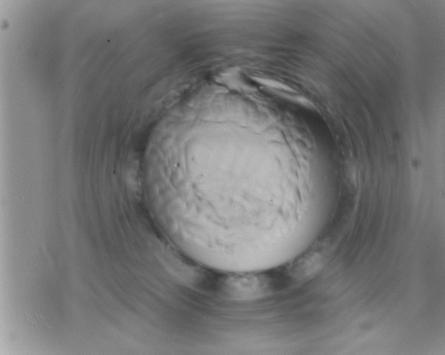 X0000071380181200607142120