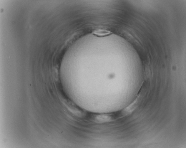 X0000071380183200607142120