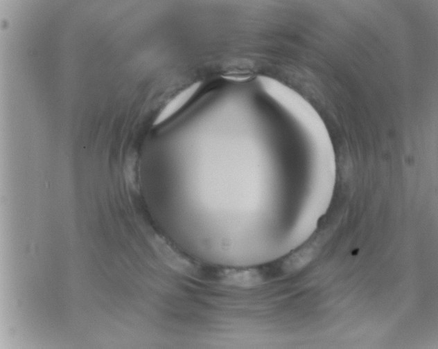 X0000071380185200607142120