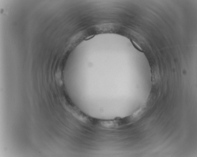 X0000071380187200607142120