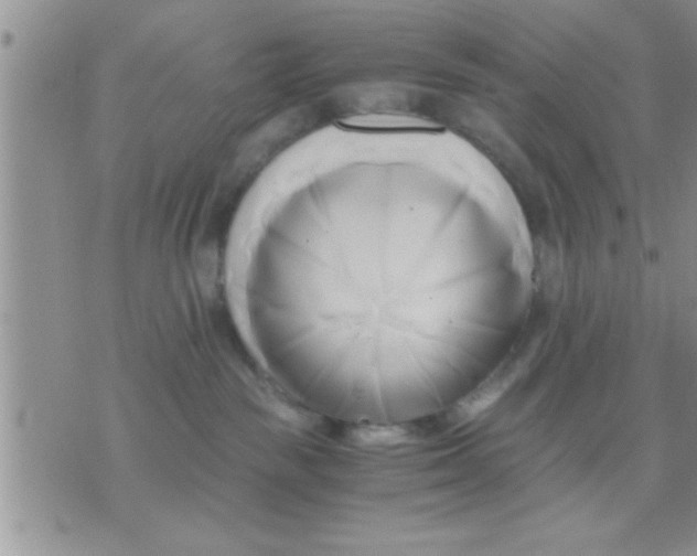 X0000071380189200607142120