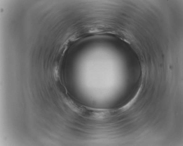 X0000071380190200607142120